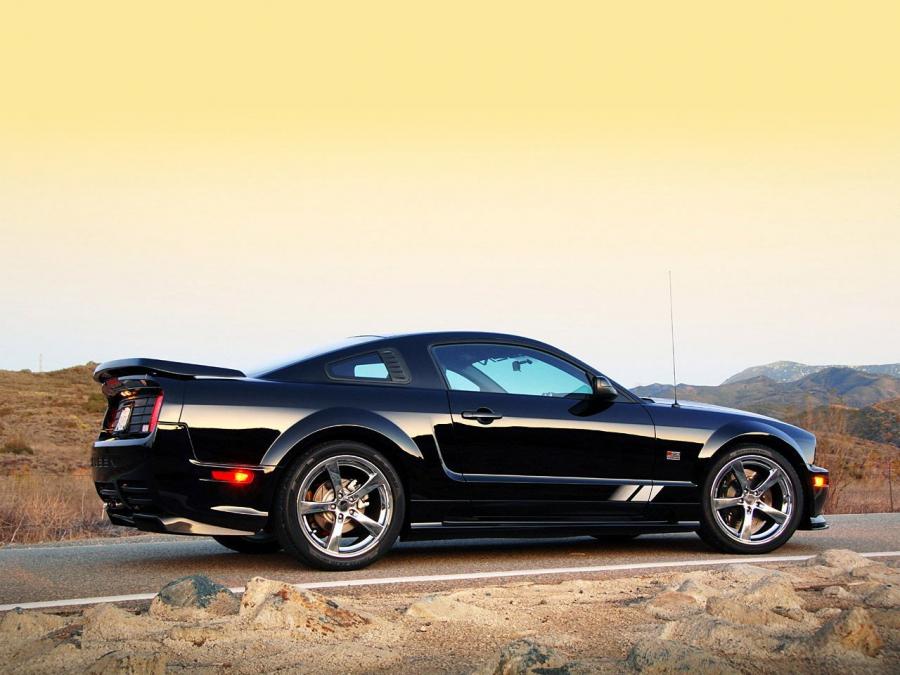  Saleen S302 Extreme 2008 года  (фото 14 из 31)
